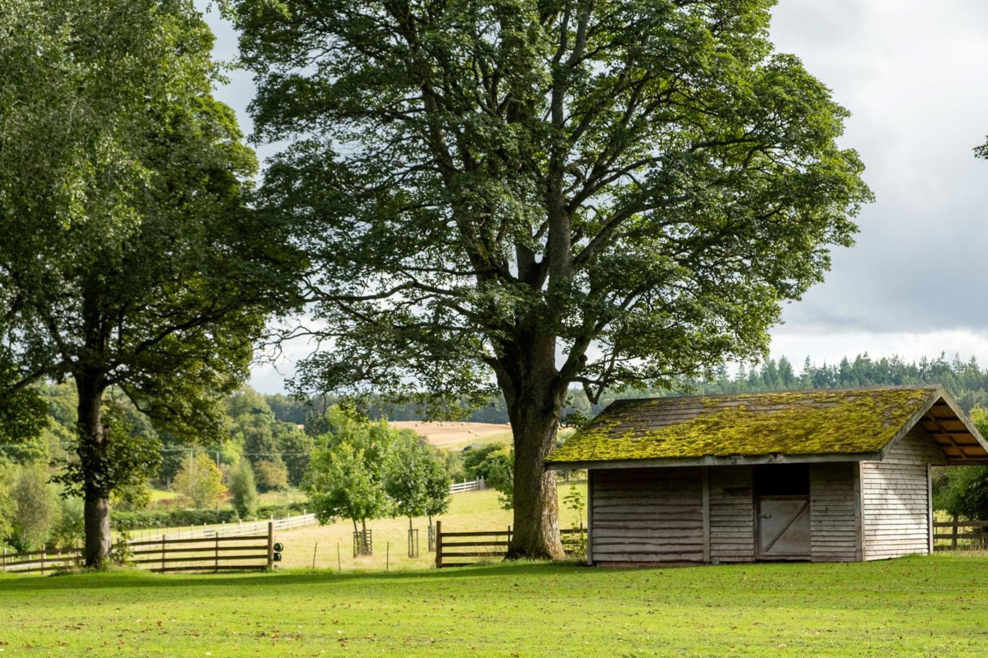 Marcassie Farm Lodges - Birch Studio Форрес Экстерьер фото